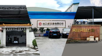 柑普茶在中部地區(qū)持續(xù)受捧,產(chǎn)品力成區(qū)域市場(chǎng)開拓的最有力武器